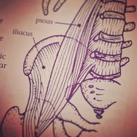 the mysterious psoas