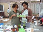 Master Gardeners – a model for skilling up the nation