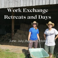 work exchange retreat