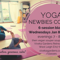 newbies yoga