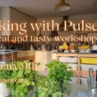 Cooking with Pulses – practical and tasty workshop