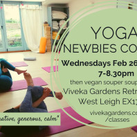 newbies yoga