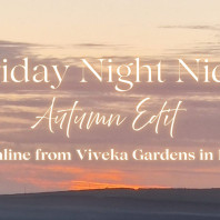 friday night nidra