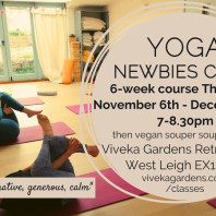 newbies yoga