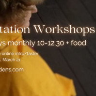 Meditation Workshops