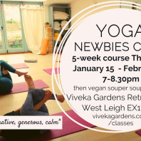 newbies yoga