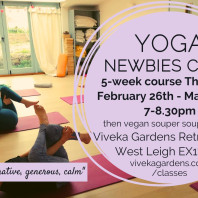 newbies yoga