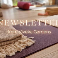newsletter
